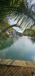 Cove Drive (D4), Detached #457031711